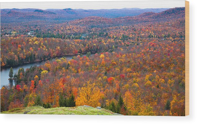 Adirondack's Wood Print featuring the photograph The View from the McCauley Mountain Ski Area by David Patterson