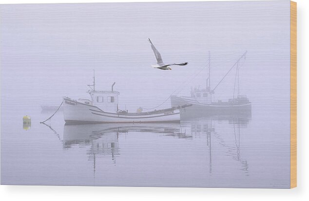 Tranquil Fog Wood Print featuring the photograph Tranquil Morning Fog by Marty Saccone