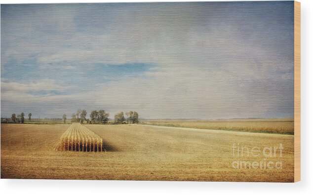 Farm Wood Print featuring the photograph Twilight Harvest by Diane Enright
