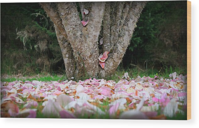 Oregon Wood Print featuring the photograph Under The Magnolia Tree by KATIE Vigil