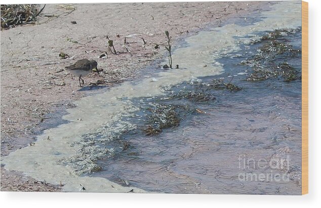 Sea Birds Wood Print featuring the photograph Watercolor Sandpipers by Jeanne Forsythe