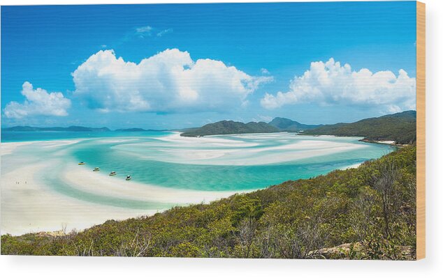 Outdoors Wood Print featuring the photograph Whiteheaven beach by Naphakm