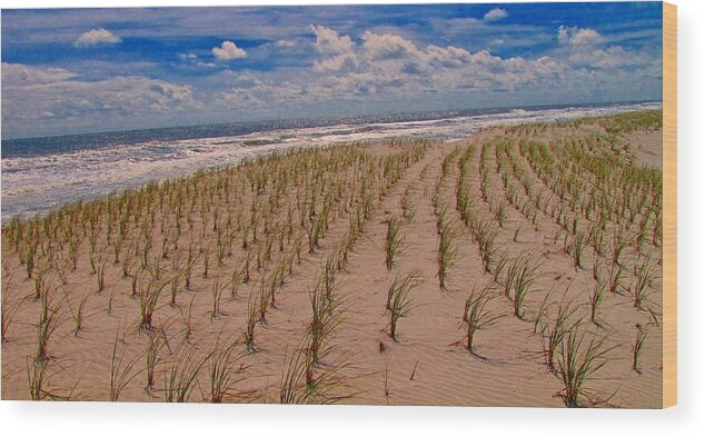 Beach Wood Print featuring the photograph Wildwood Beach Breezes by David Dehner