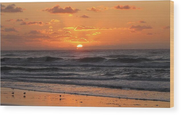 Beach Wood Print featuring the photograph Wildwood Beach Here Comes the Sun by David Dehner