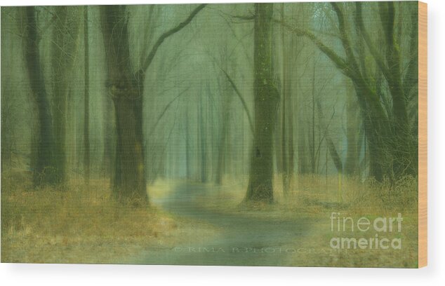 Forest Wood Print featuring the photograph Winter by Rima Biswas