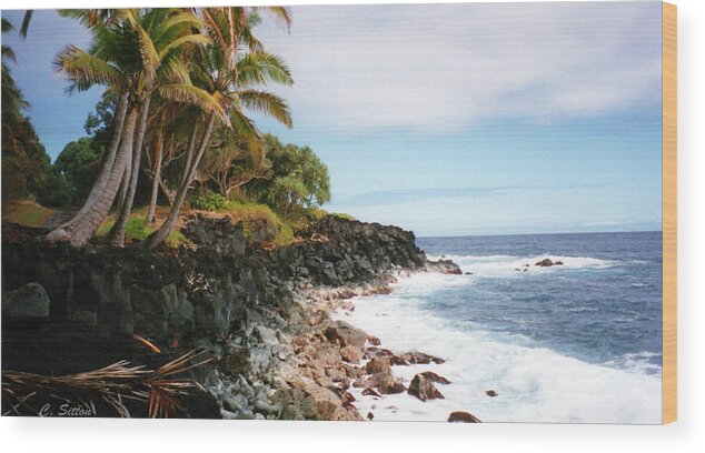 Hawaii Paintings Wood Print featuring the photograph Coconut Palms by C Sitton