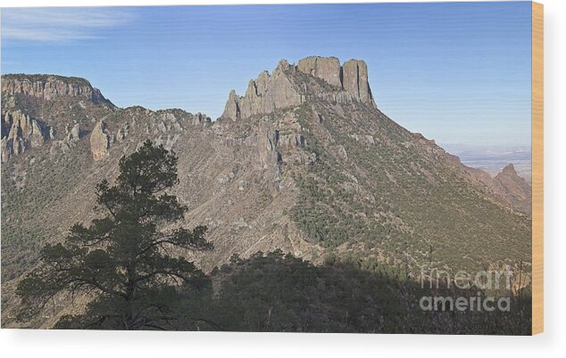 Big Bend National Park Wood Print featuring the photograph Habitat Transition by Greg Dimijian