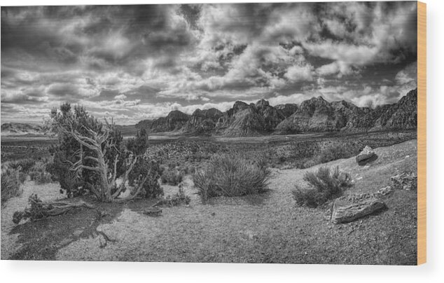 Hdr Panoramic Monochrome Wood Print featuring the photograph High Point Monochrome by Stephen Campbell