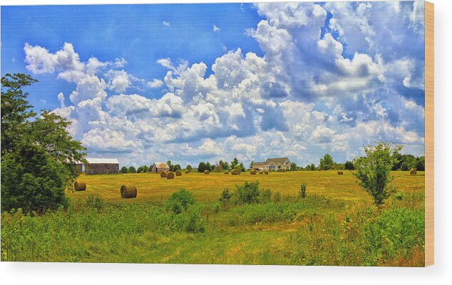 Landscape Wood Print featuring the photograph Highway D New Melle MO by Linda Tiepelman