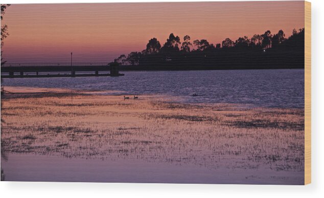 Lake Miramar Sunset 3 Wood Print featuring the photograph Lake Miramar Sunset 3 by Jeremy McKay