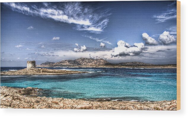Sardegna Wood Print featuring the photograph Little Tower in the Sea by Andrea Barbieri