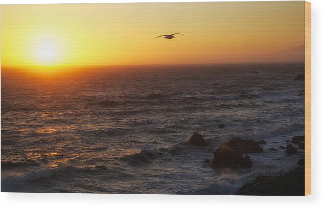 Landscape Wood Print featuring the photograph Ocean Sunset by Joseph Urbaszewski