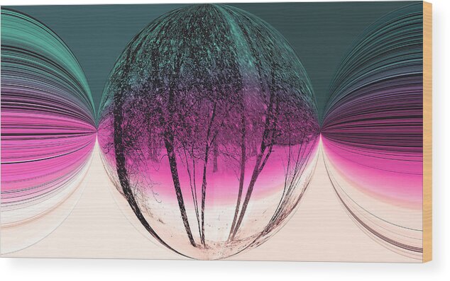 Mixed Media Art Wood Print featuring the photograph Spherical Snowstorm by Virginia Folkman