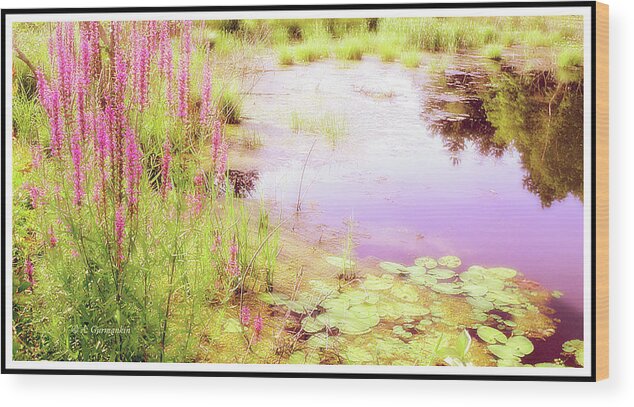 Pond Wood Print featuring the photograph Pond in Summer, Berkshire Mountains, Massachusetts #1 by A Macarthur Gurmankin