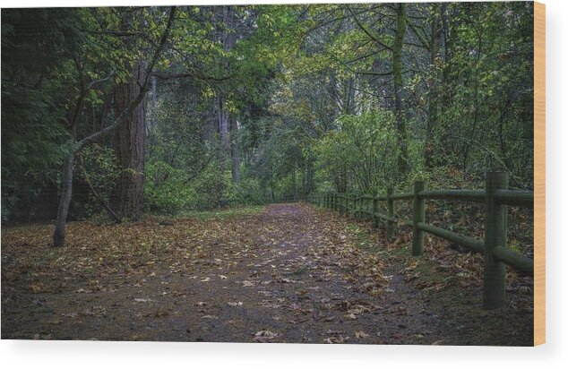 Park Wood Print featuring the photograph A Lincoln Park Autumn by Ken Stanback
