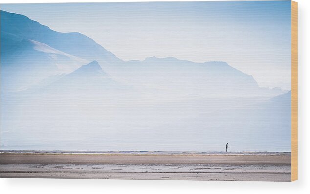 Antelope Island Wood Print featuring the photograph Alone by Dave Koch