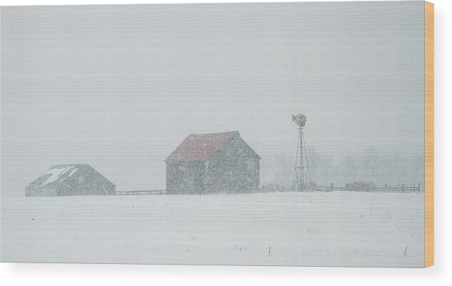 Barns Wood Print featuring the photograph Barns in Snow - 1814 by Jon Friesen