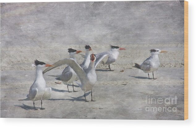 Royal Tern Wood Print featuring the digital art Beach Party by Jayne Carney