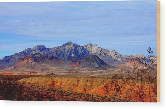 Landscape Wood Print featuring the photograph Beautiful Desert by Barbara Teller