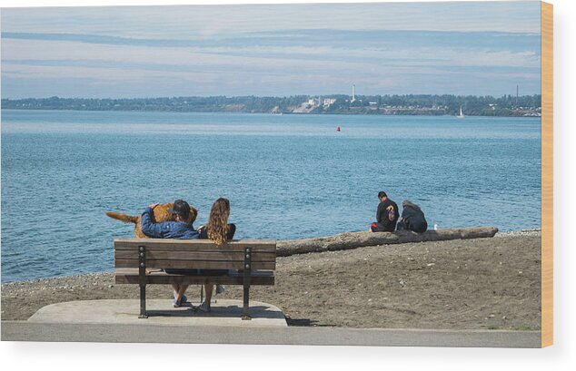 Bench And Log In Boulevard Park Wood Print featuring the photograph Bench and Log in Boulevard Park by Tom Cochran