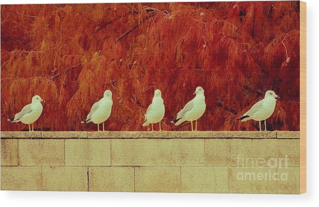 Birds Wood Print featuring the photograph Birds Of A Feather by Robert ONeil