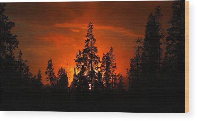 Winter Wood Print featuring the photograph Burnt Orange Sunset by David Andersen