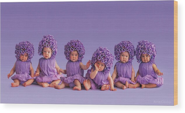 Purple Wood Print featuring the photograph Cantebury Bells by Anne Geddes
