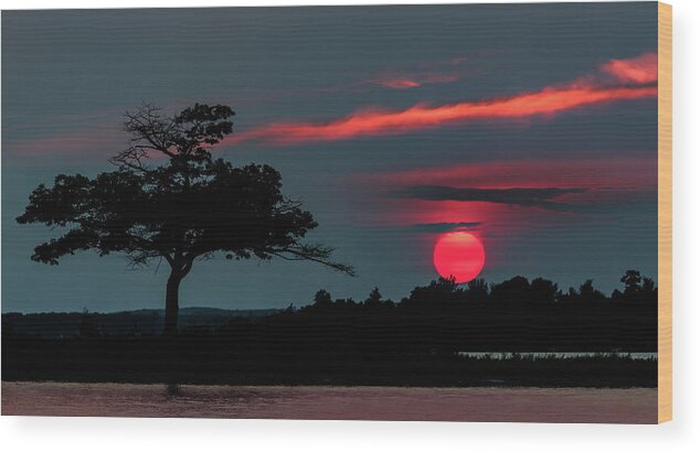 Higgins Lake Wood Print featuring the photograph Cherry Red by Joe Holley