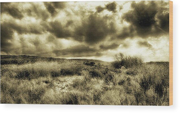 Weather Wood Print featuring the photograph Cloudscape by Joseph Hollingsworth