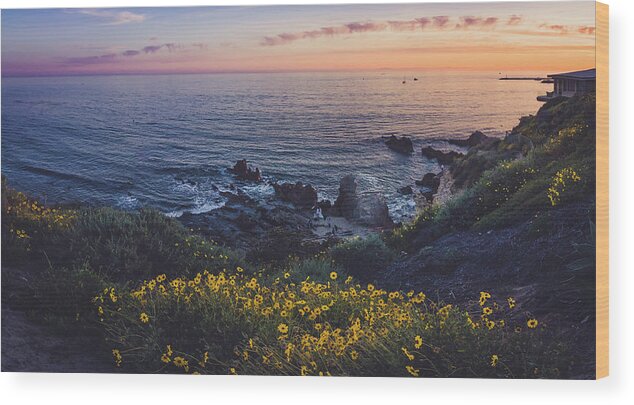 Bloom Wood Print featuring the photograph Corona Del Mar Super Bloom by Andy Konieczny