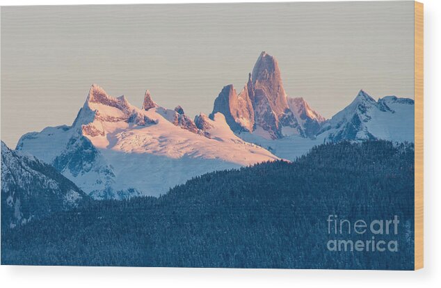 Southeast Alaska Wood Print featuring the photograph Devils Thumb Alpenglow by Mike Reid
