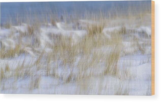 Dune Grasses Snowscape Wood Print featuring the photograph Dune Grasses Snowscape by Marty Saccone