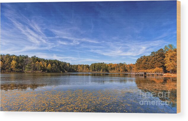 Tribble-mill-park Wood Print featuring the photograph Exploring Tribble Mill Park by Bernd Laeschke