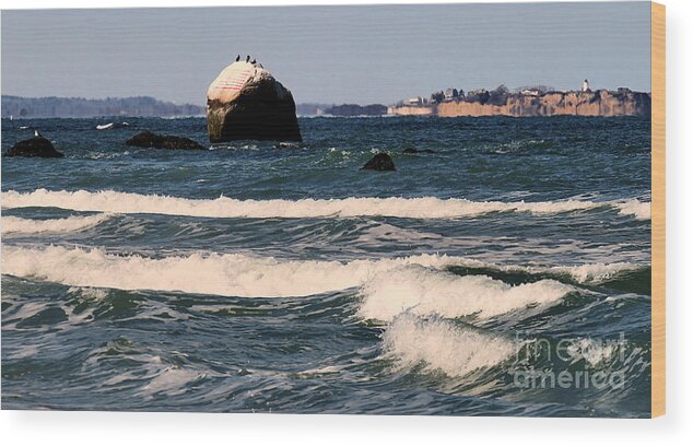 Flag Rock Wood Print featuring the photograph Flag Rock at White Horse by Janice Drew