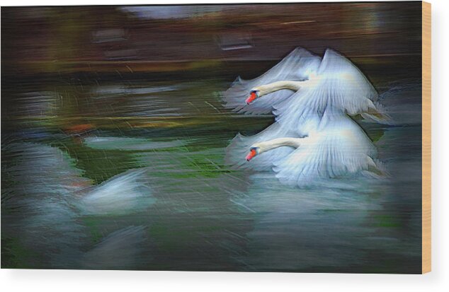 Swans Wood Print featuring the photograph Flying Swans Abstract by Jeff Townsend