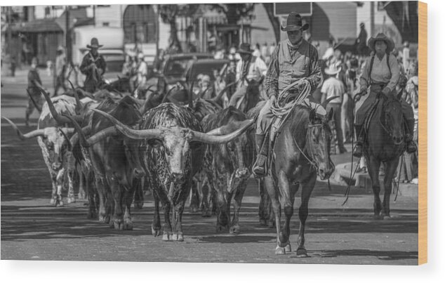 Texas Longhorn Wood Print featuring the photograph Fort Worth Longhorn Cattle Drive Wide by Jonathan Davison