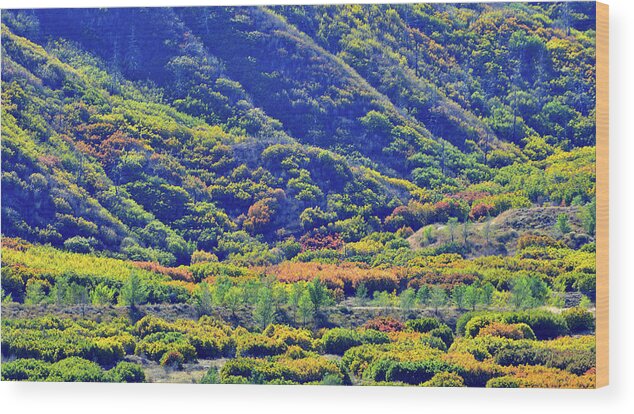 Colorado Wood Print featuring the photograph Glenwood Springs Fall Colors on Display by Ray Mathis