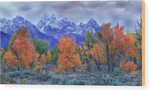Grand Tetons National Park Wood Print featuring the photograph Grand Tetons in Fall by Hal Mitzenmacher