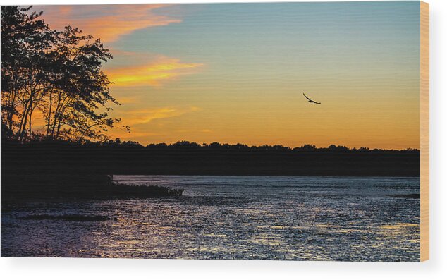 Sunset Wood Print featuring the photograph Heading Home by Cathy Kovarik