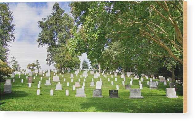 Arlington National Cemetery Wood Print featuring the photograph Hillside at Arlington by Mark Andrew Thomas