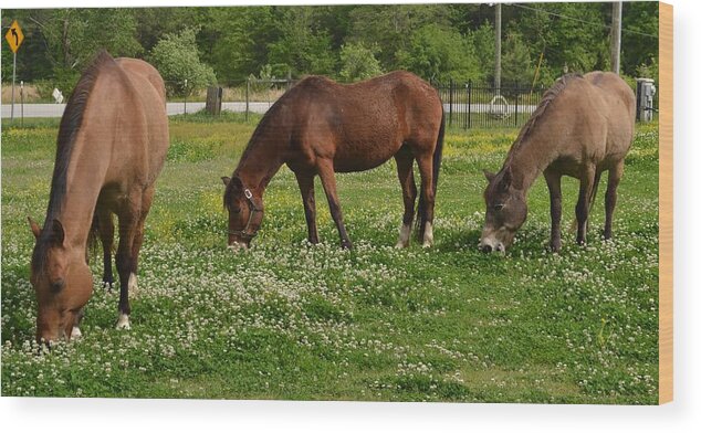Horses Wood Print featuring the photograph Horses in the Meadow 2 by Eileen Brymer