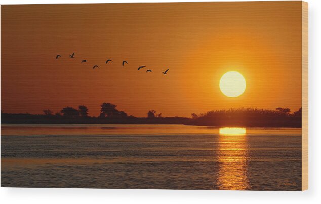 Africa Wood Print featuring the photograph Impalila Island Sunset No. 1 by Joe Bonita