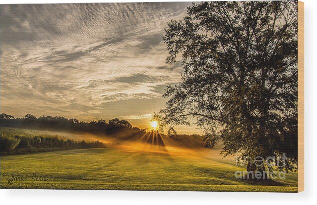 Lawn Wood Print featuring the photograph Lawn Sunrise by Metaphor Photo