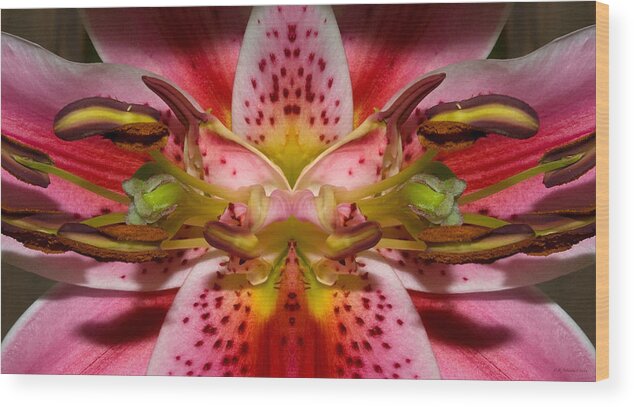 Lily Wood Print featuring the photograph Lily Embrace by WB Johnston