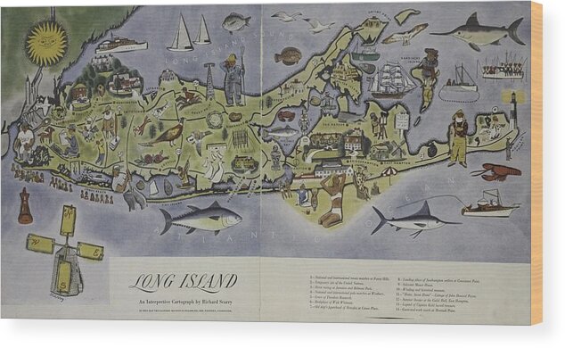 Long Island Wood Print featuring the photograph Long Island an Interpretive Cartograph by Duncan Pearson
