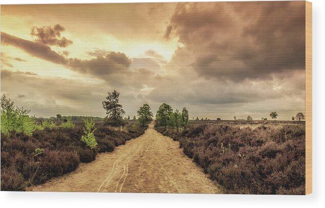 Gelderland Wood Print featuring the photograph Long road ahead by Tim Abeln