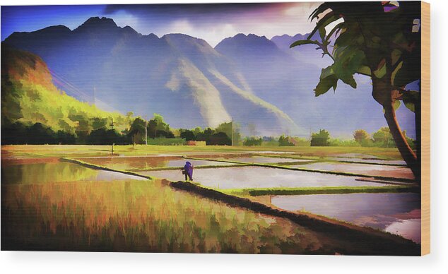 Vietnam Wood Print featuring the photograph Mai Chau Paddy Field by Neville Wootton