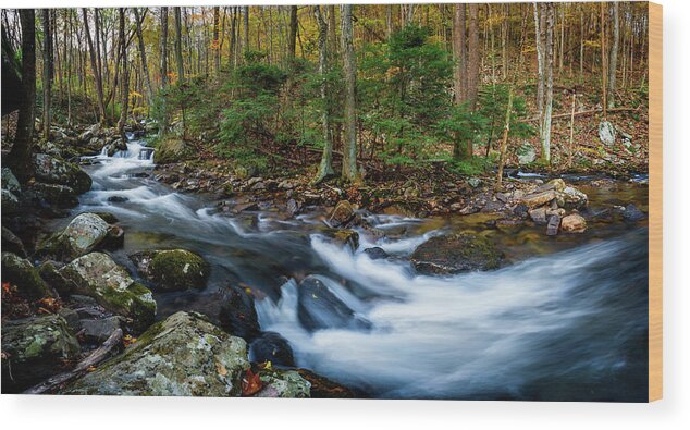 Landscape Wood Print featuring the photograph Mill Creek in Fall #2 by Joe Shrader