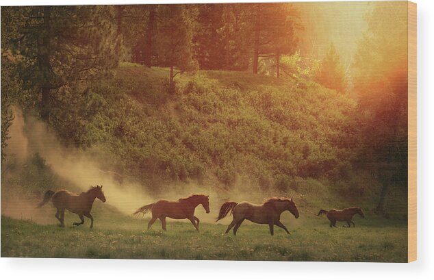 Horse Wood Print featuring the photograph Running Free by Ryan Courson