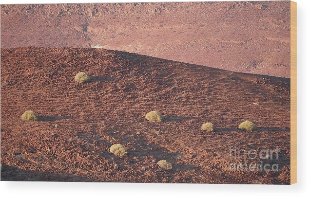 Warm Wood Print featuring the photograph Namibian Landscape Sunset by Tom Wurl